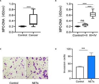 Frontiers Comprehensive Expression Profile Analysis Of Neutrophil Extracellular Trap Affected